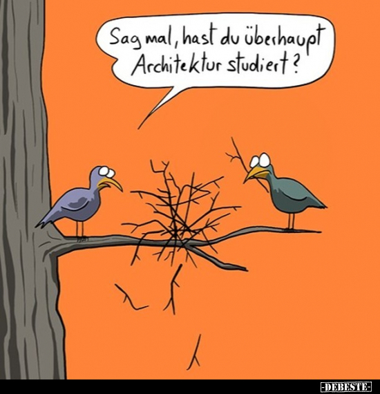 Sag mal, hast du überhaupt Architektur studiert?.. - Lustige Bilder | DEBESTE.de