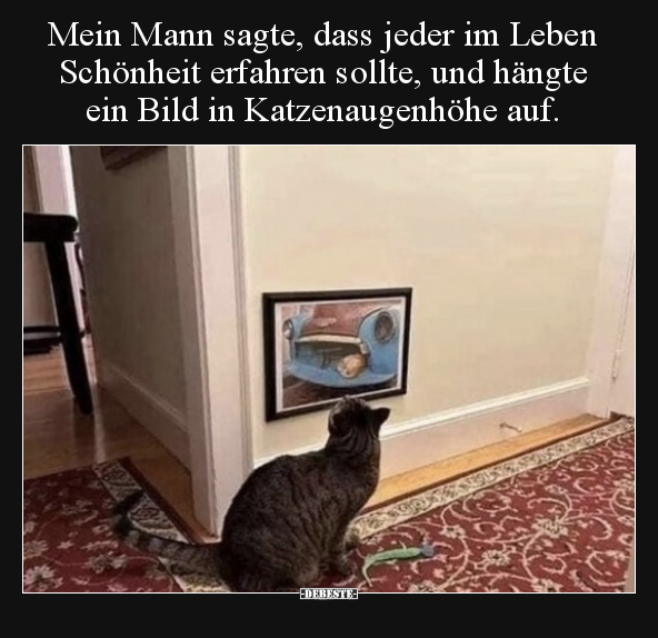 Mein Mann sagte, dass jeder im Leben Schönheit erfahren.. - Lustige Bilder | DEBESTE.de