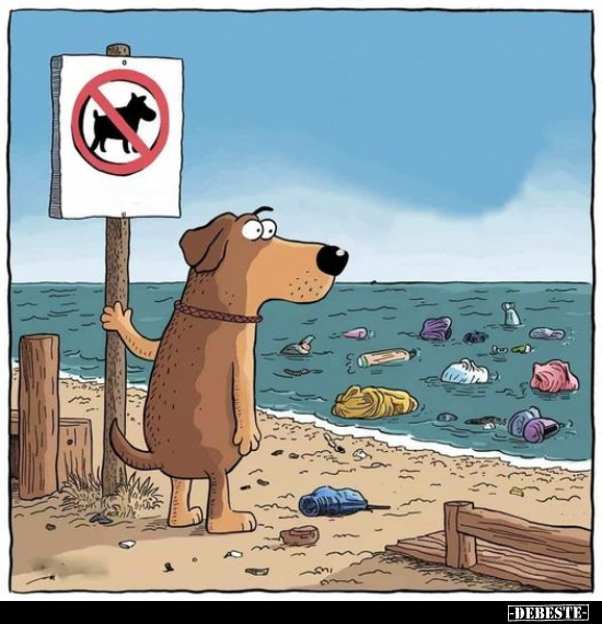  - Lustige Bilder | DEBESTE.de