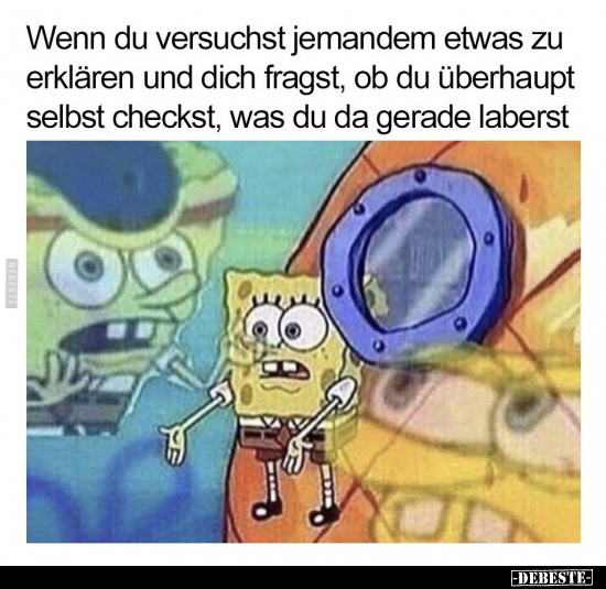 Wenn du versuchst jemandem etwas zu erklären und dich.. - Lustige Bilder | DEBESTE.de