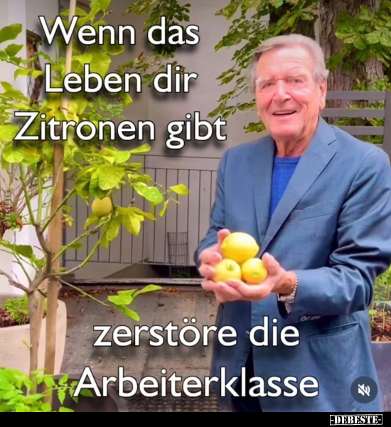 Wenn das Leben dir Zitronen gibt.. - Lustige Bilder | DEBESTE.de