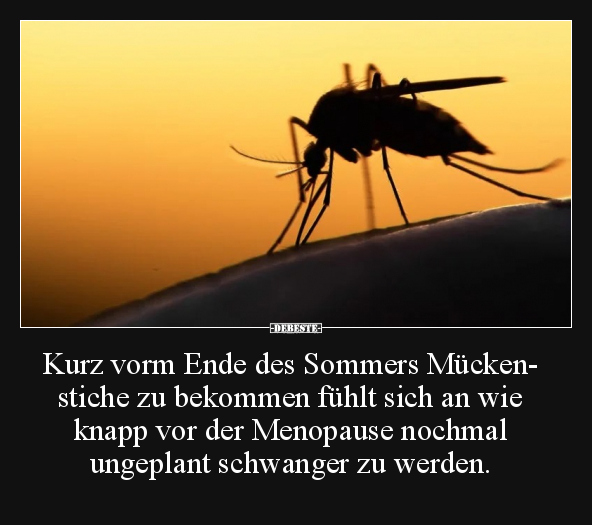 Kurz vorm Ende des Sommers Mückenstiche zu bekommen.. - Lustige Bilder | DEBESTE.de