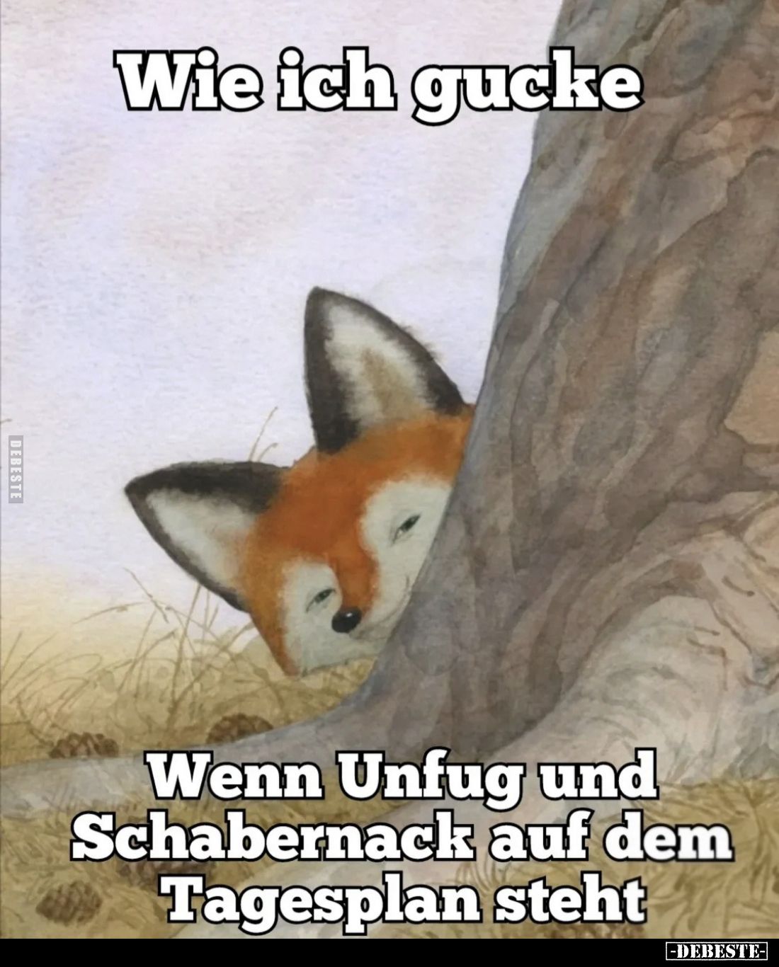 Wie ich gucke, wenn Unfug und Schabernack auf dem Tagesplan steht.