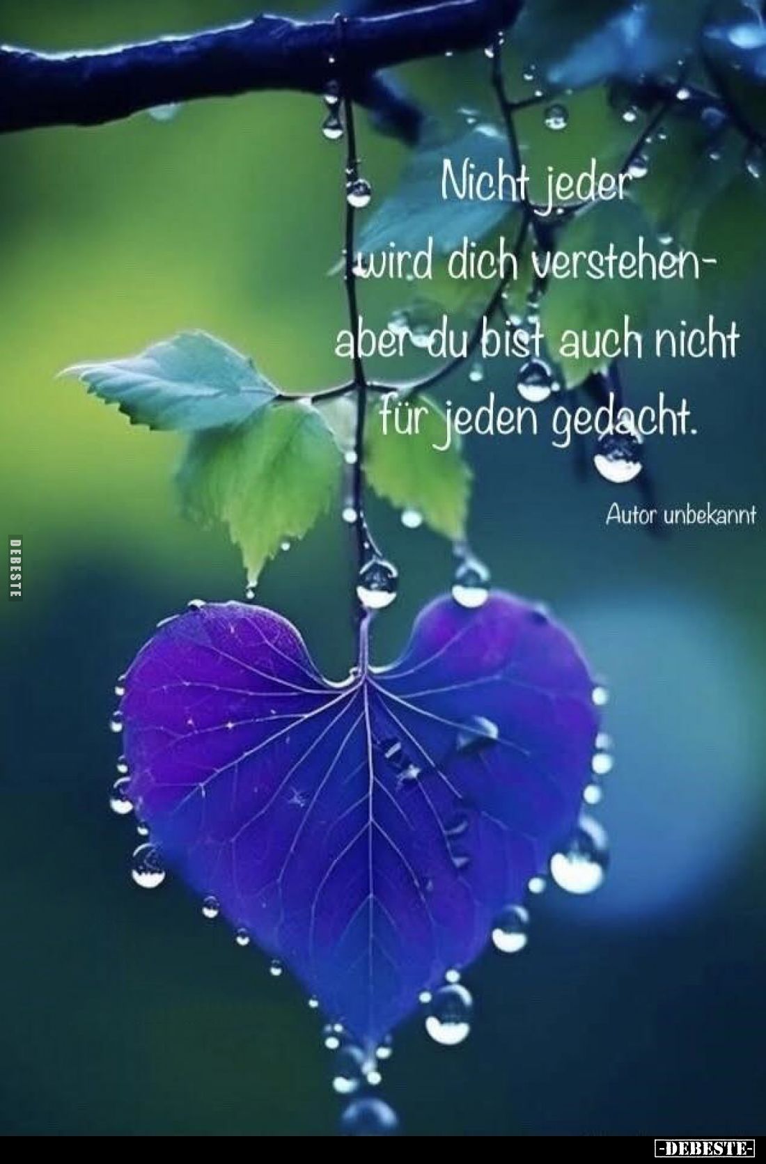 Nicht jeder wird dich verstehen-aber du bist auch nicht für jeden gedacht.