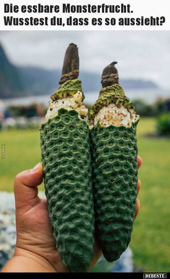 Die essbare Monsterfrucht. Wusstest du, dass es so.. - Lustige Bilder | DEBESTE.de