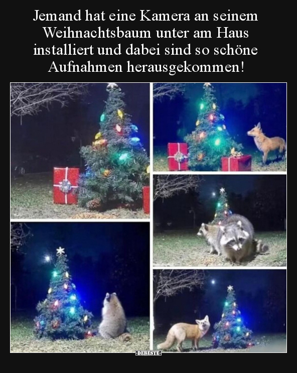 Jemand hat eine Kamera an seinem Weihnachtsbaum unter am.. - Lustige Bilder | DEBESTE.de