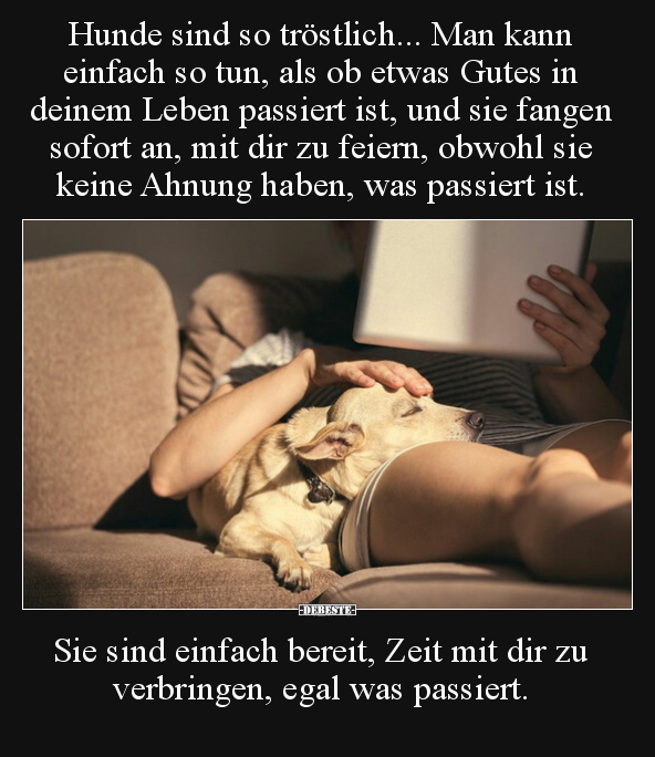 Hunde sind so tröstlich... Man kann einfach so tun, als ob.. - Lustige Bilder | DEBESTE.de