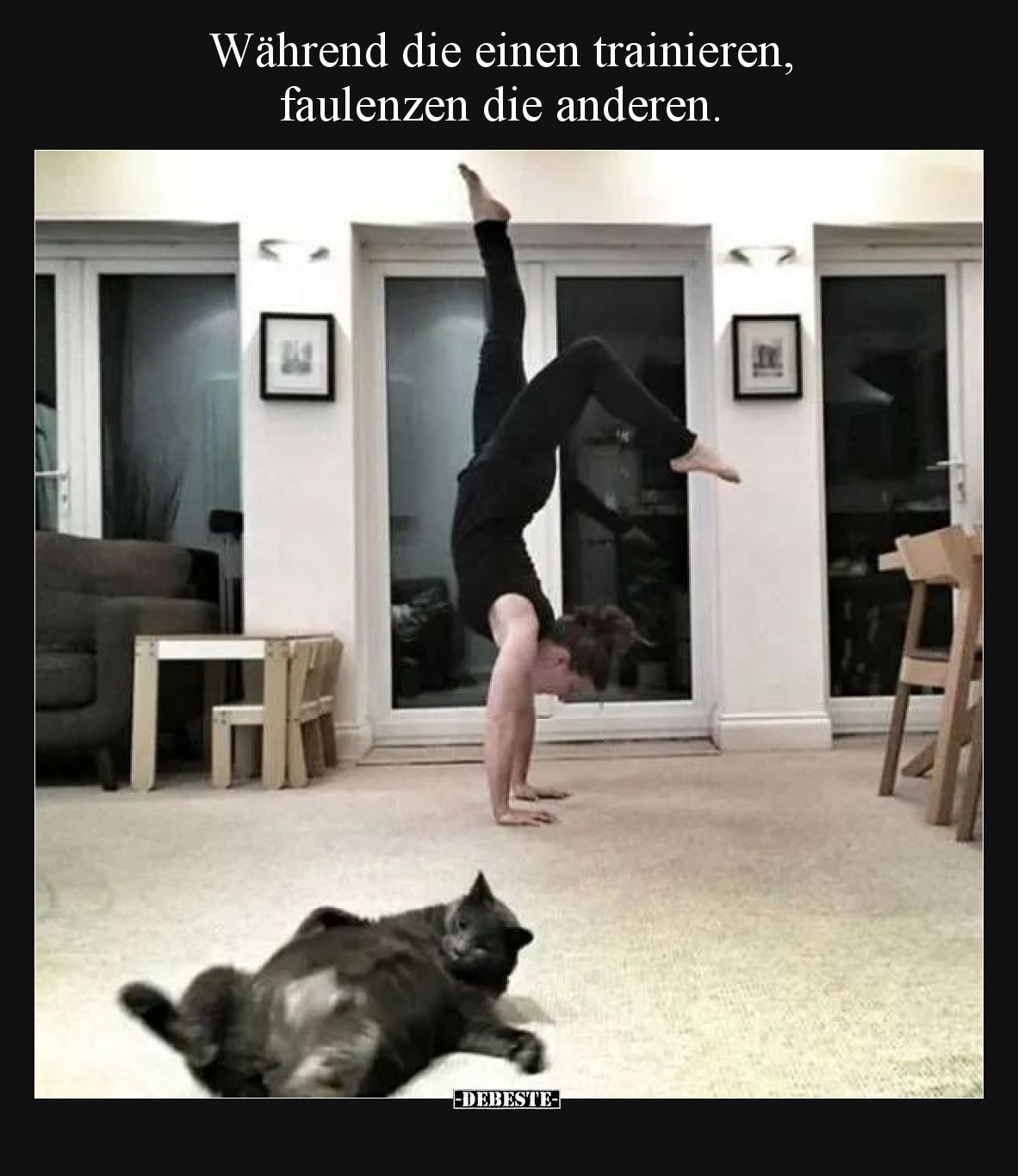 Während die einen trainieren, faulenzen die anderen.
