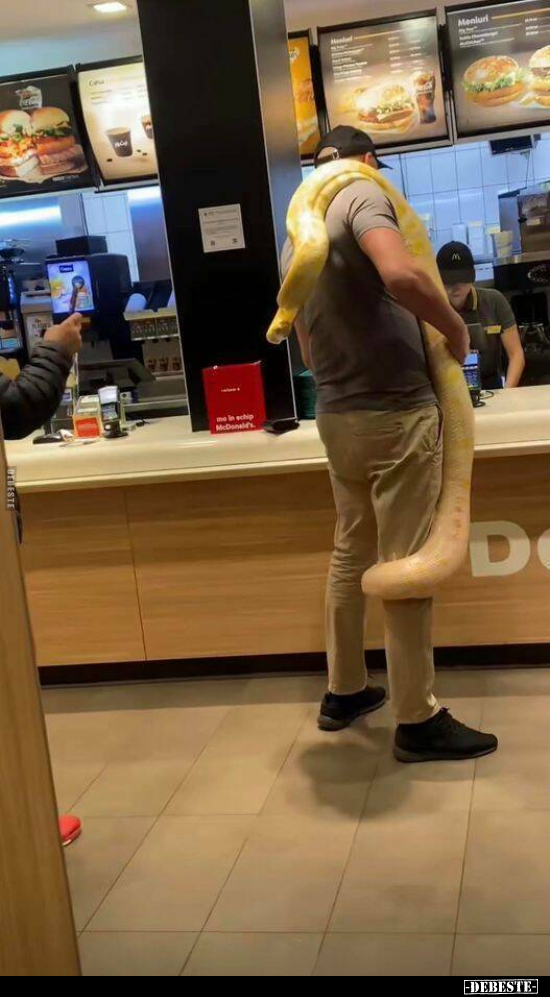  - Lustige Bilder | DEBESTE.de