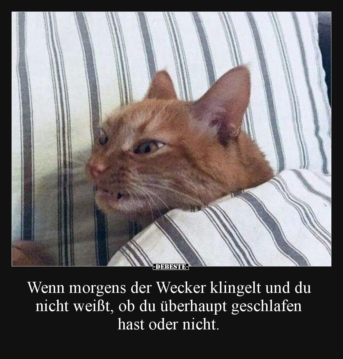 Wenn morgens der Wecker klingelt und du nicht weißt, ob du überhaupt geschlafen hast oder nicht.