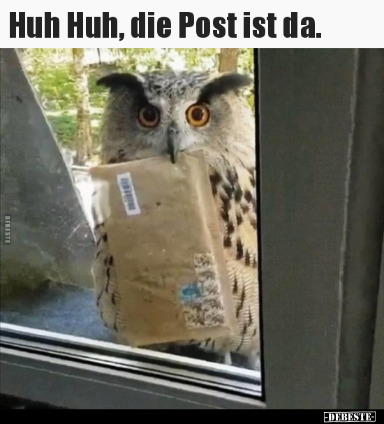 Huh Huh, die Post ist da... - Lustige Bilder | DEBESTE.de