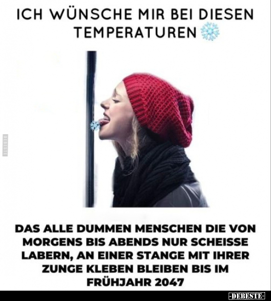 Ich wünsche mir bei diesen Temperaturen.. - Lustige Bilder | DEBESTE.de