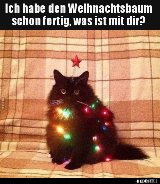Ich habe den Weihnachtsbaum schon fertig, was ist mit.. - Lustige Bilder | DEBESTE.de