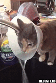 Einfach das beste draus machen..