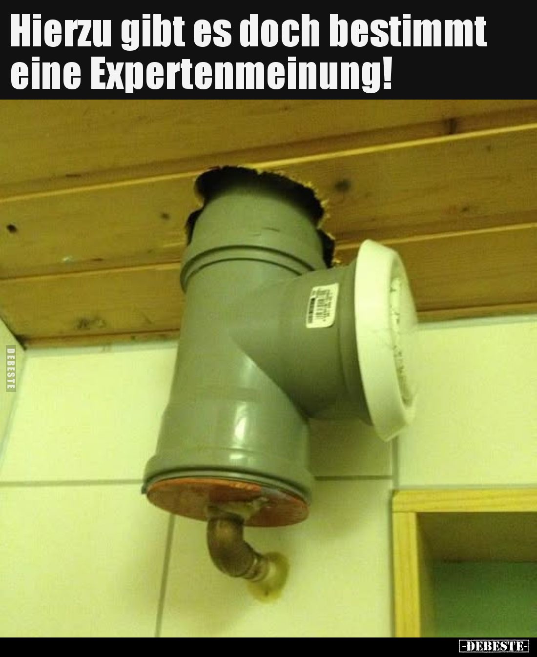 Hierzu gibt es doch bestimmt eine Expertenmeinung!
