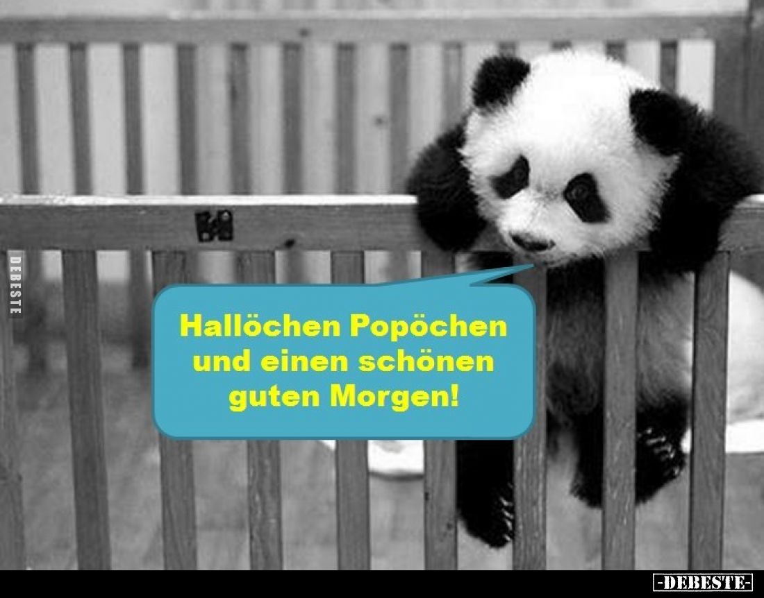 Hallöchen Popöchen und einen schönen guten Morgen!