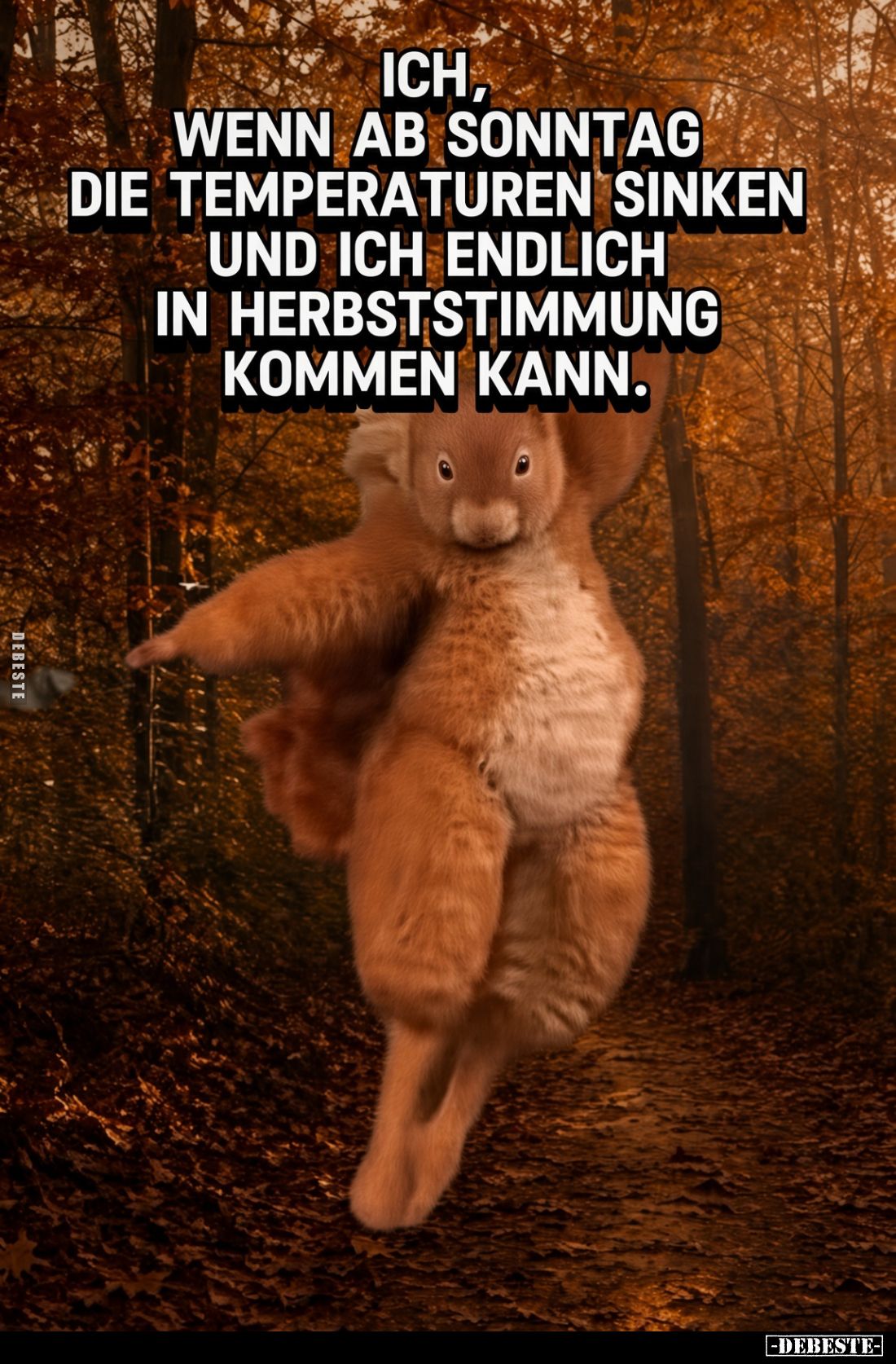 Ich, wenn ab Sonntag die Temperaturen sinken und ich endlich in Herbststimmung kommen kann.