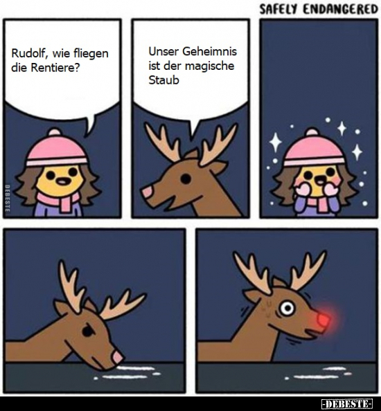 Rudolf, wie fliegen die Rentiere?.. - Lustige Bilder | DEBESTE.de