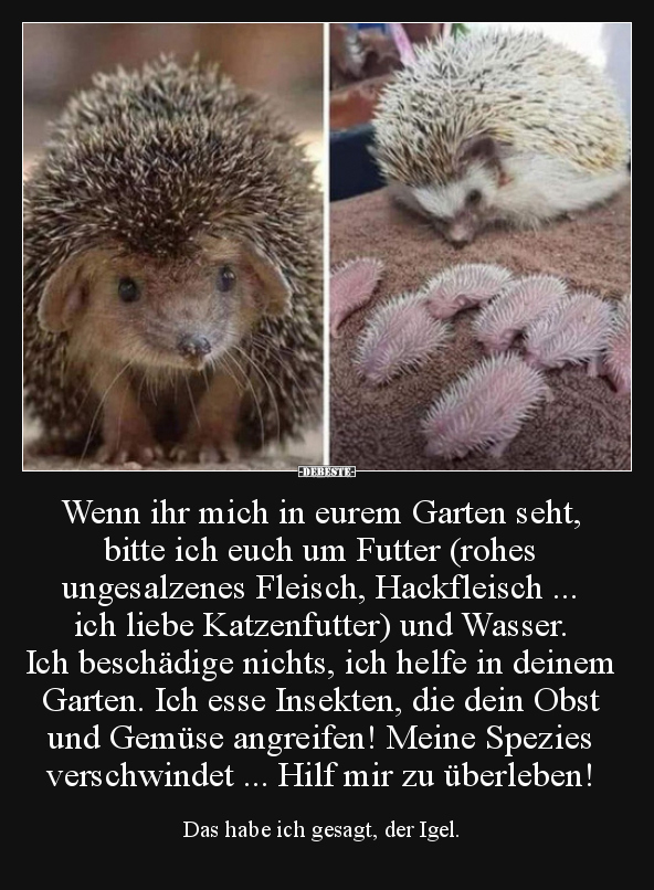 Wenn ihr mich in eurem Garten seht, bitte ich euch um..
