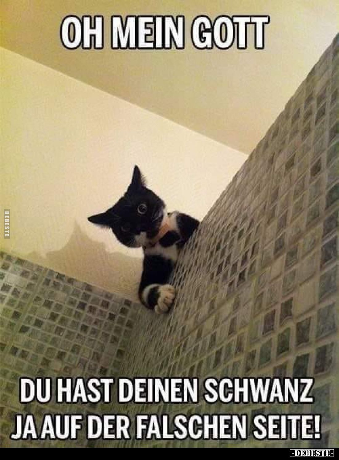 Oh mein Gott.
Du hast deinen Schwanz ja auf der falschen Seite!