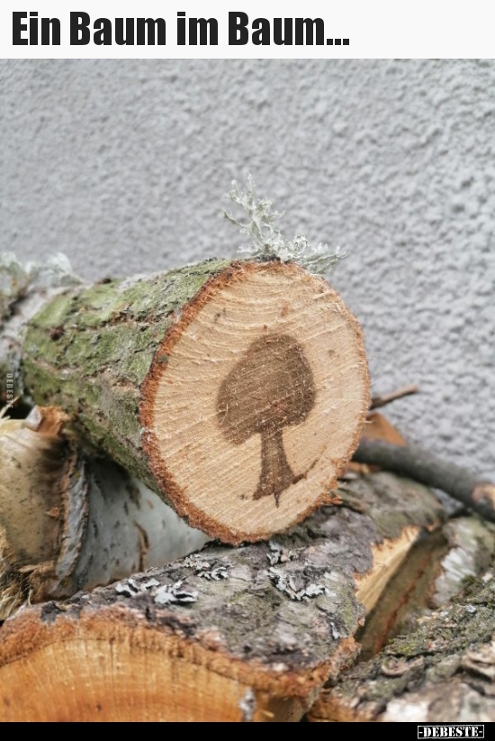 Ein Baum im Baum...