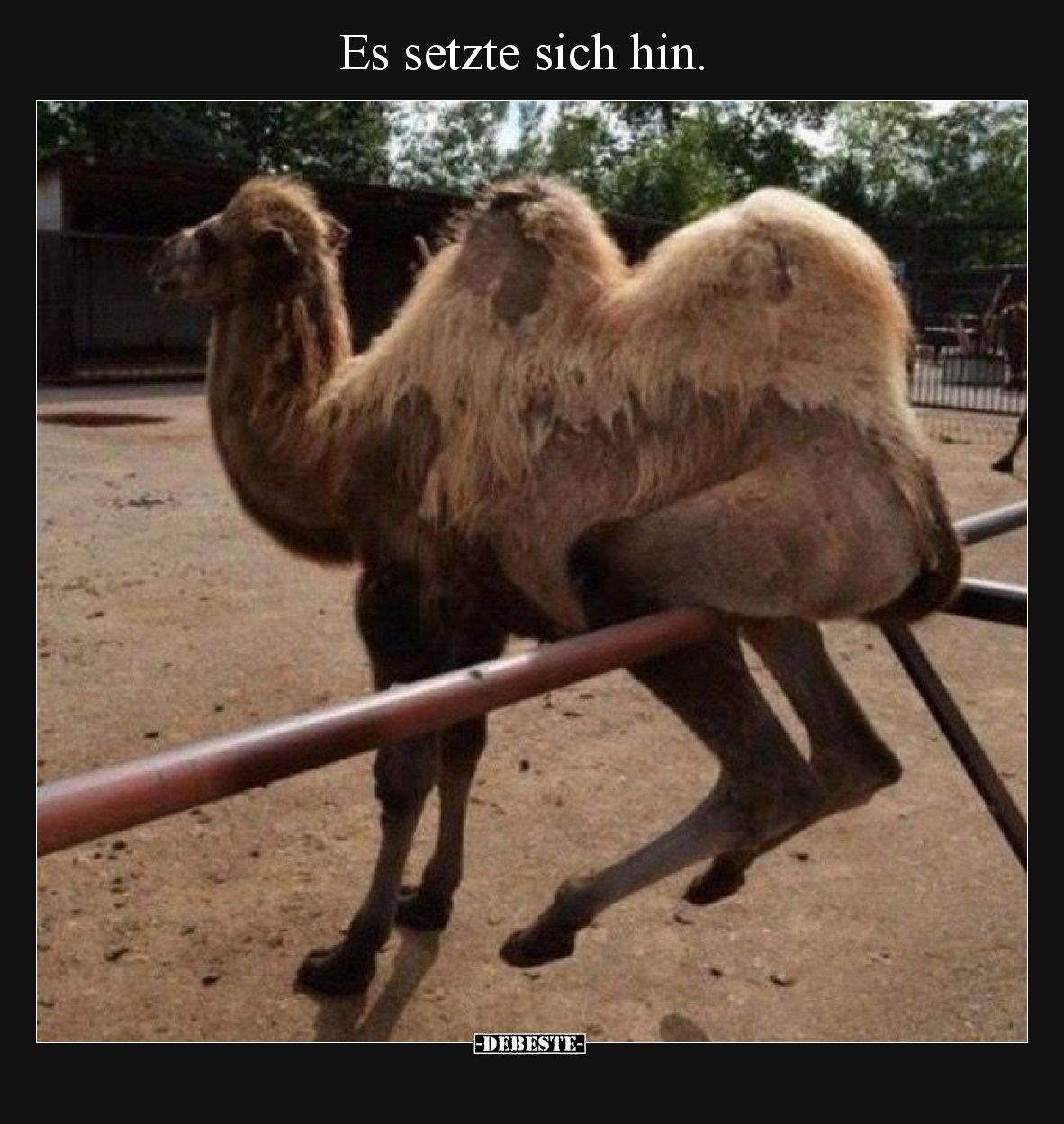 Es setzte sich hin... - Lustige Bilder | DEBESTE.de