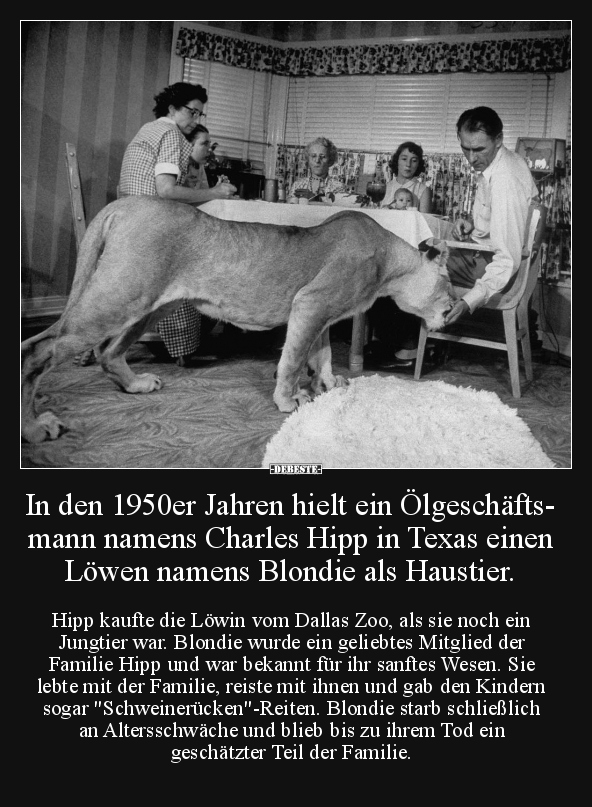 In den 1950er Jahren hielt ein Ölgeschäftsmann.. - Lustige Bilder | DEBESTE.de