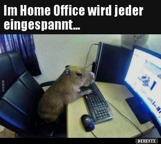 Im Home Office wird jeder eingespannt... - Lustige Bilder | DEBESTE.de