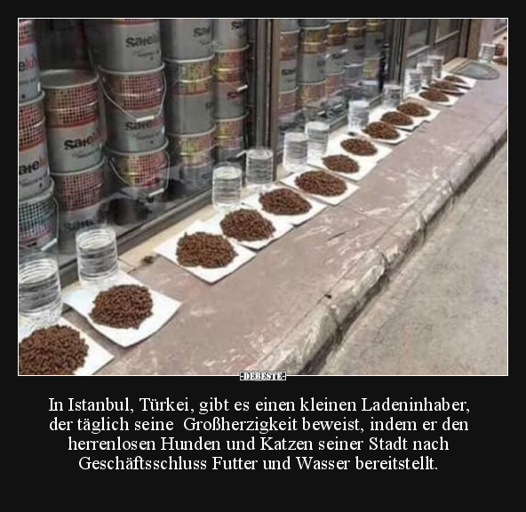 In Istanbul, Türkei.. - Lustige Bilder | DEBESTE.de