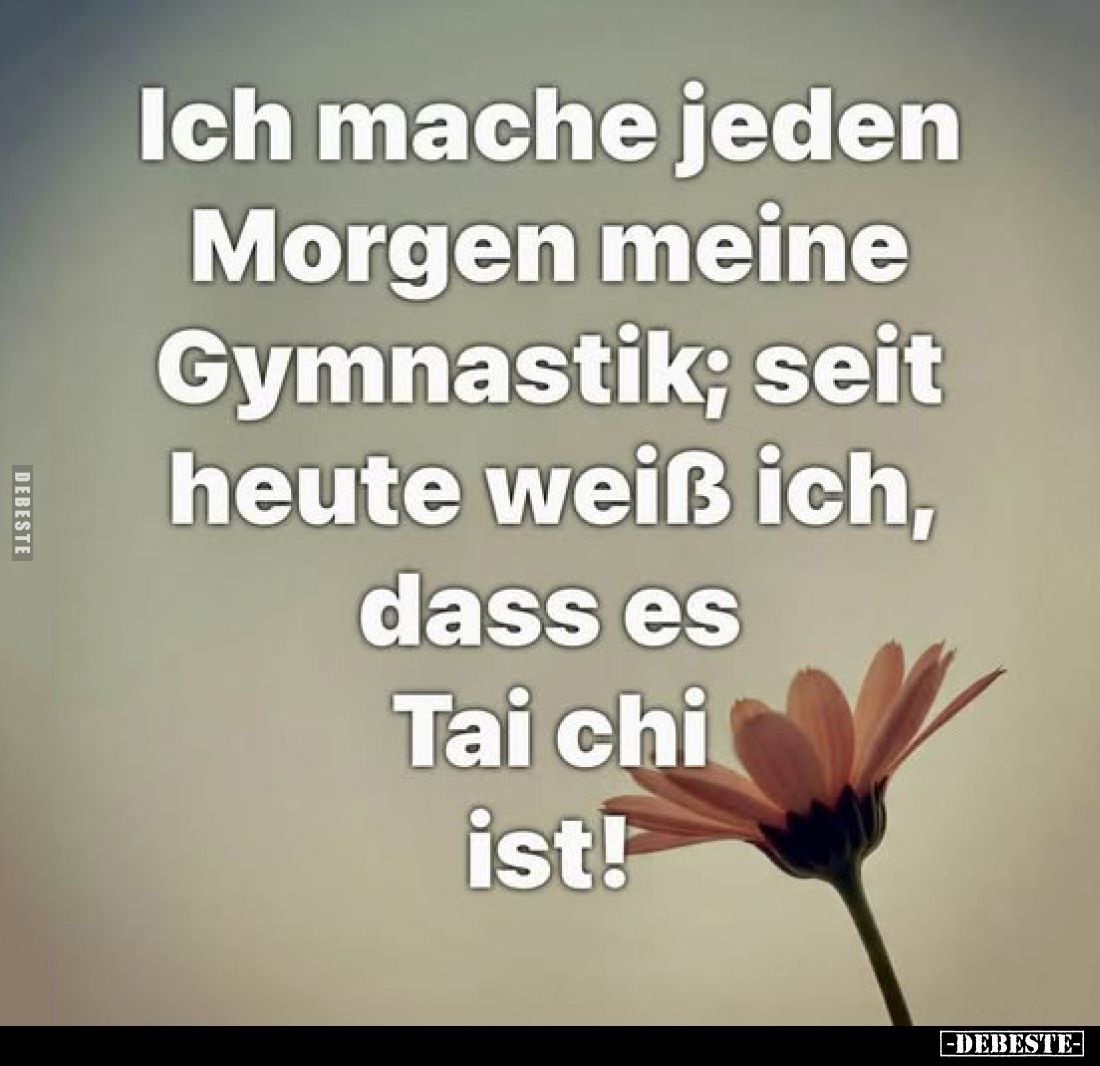 Ich mache jeden Morgen meine Gymnastik; seit heute weiß ich, dass es Tai chi ist!