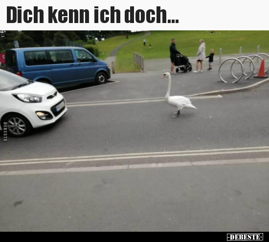 Dich kenn ich doch...