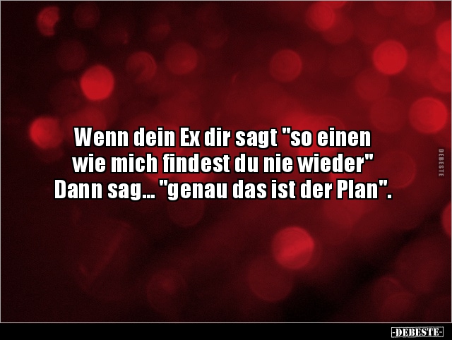 Wenn dein Ex dir sagt "so einen wie mich findest du.." - Lustige Bilder | DEBESTE.de