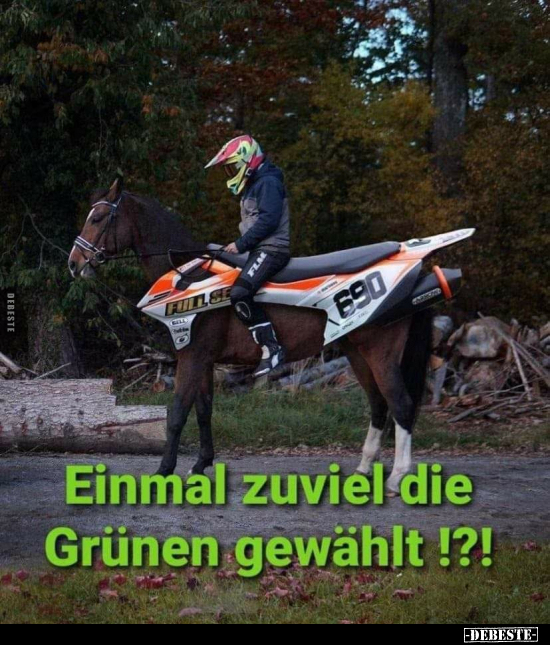 Einmal zuviel die Grünen gewählt !?!.. Lustige Bilder, Sprüche, Witze