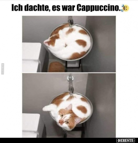 Ich dachte, es war Cappuccino.. - Lustige Bilder | DEBESTE.de