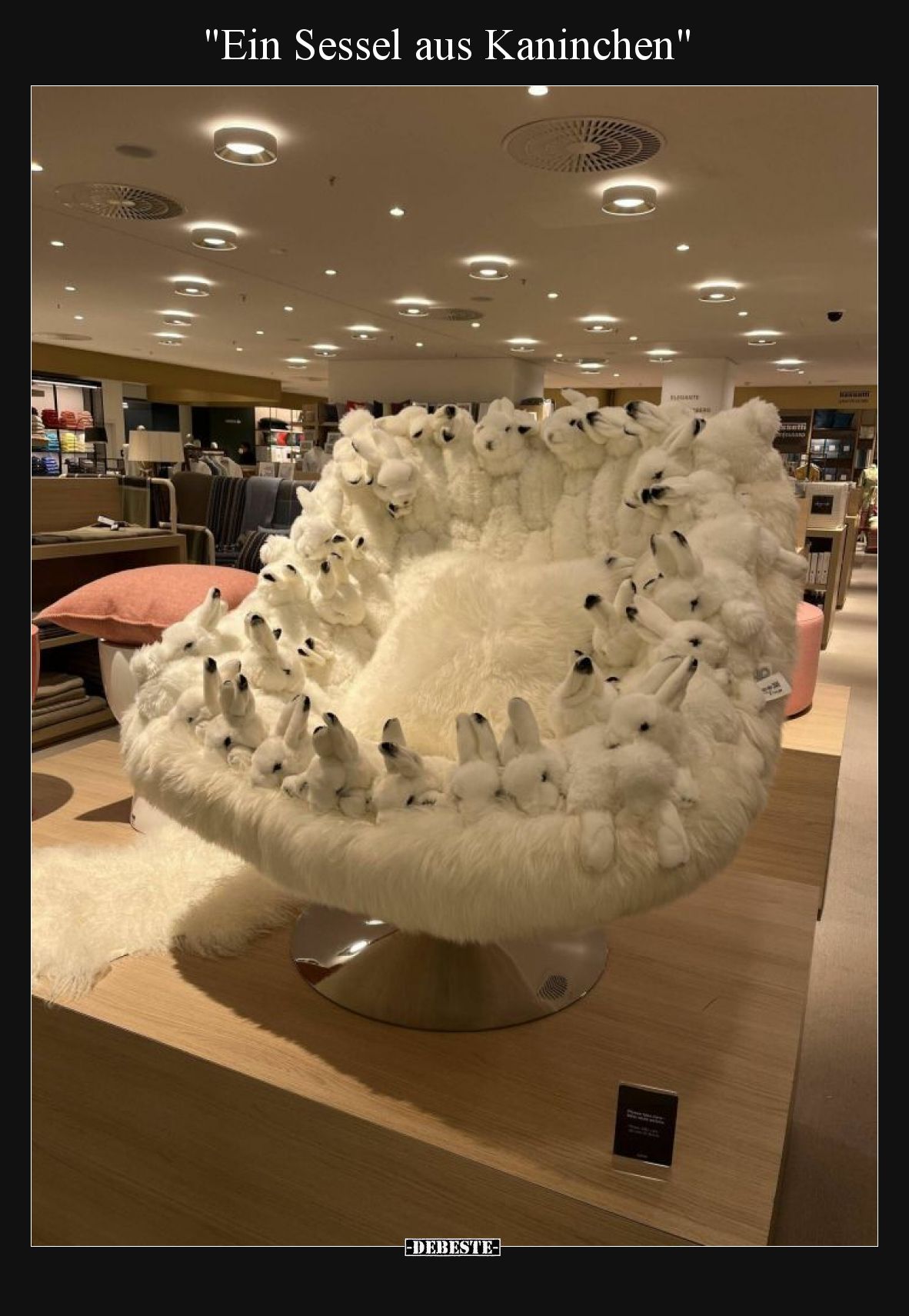 Ein Sessel aus Kaninchen