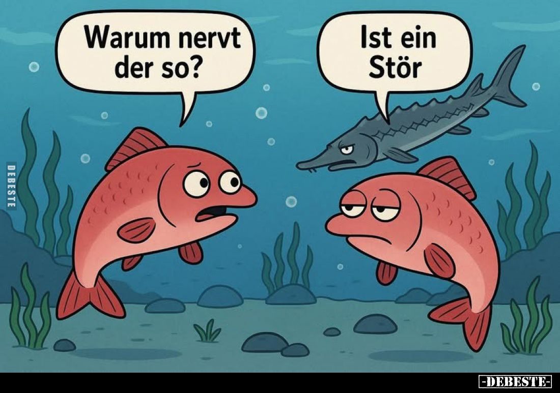 Warum nervt der so? -
Ist ein Stör.