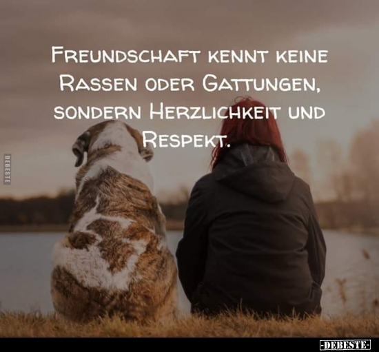 Freundschaft kennt keine Rassen oder Gattungen, sondern.. - Lustige Bilder | DEBESTE.de