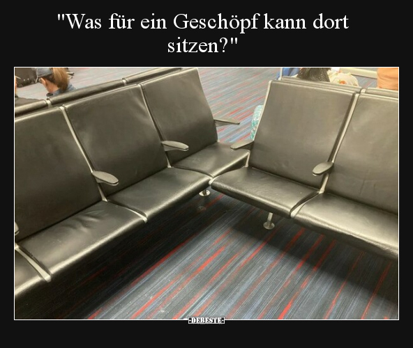 "Was für ein Geschöpf kann dort sitzen?".. - Lustige Bilder | DEBESTE.de