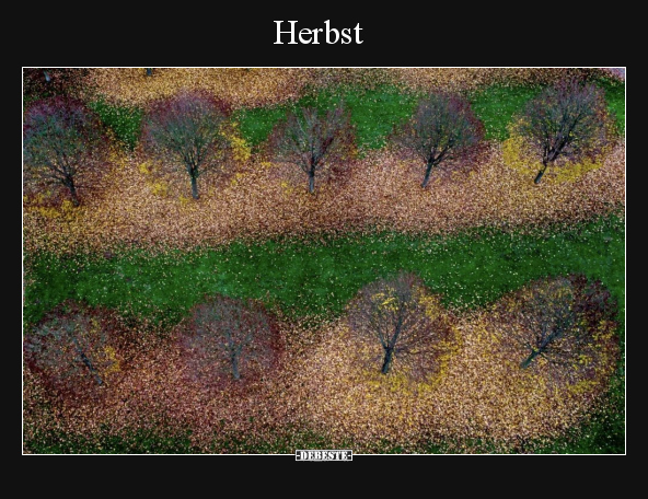 Herbst.. - Lustige Bilder | DEBESTE.de