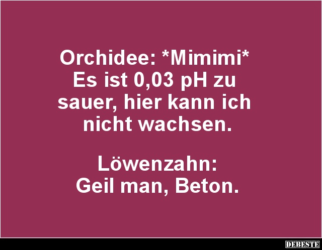 Orchidee: *Mimimi* Es ist 0,03 pH zu sauer.. - Lustige Bilder | DEBESTE.de