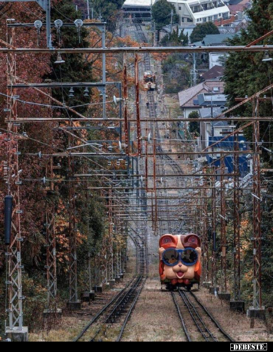  - Lustige Bilder | DEBESTE.de