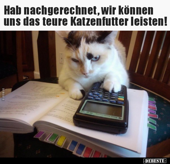Hab nachgerechnet, wir können uns das teure Katzenfutter.. - Lustige Bilder | DEBESTE.de