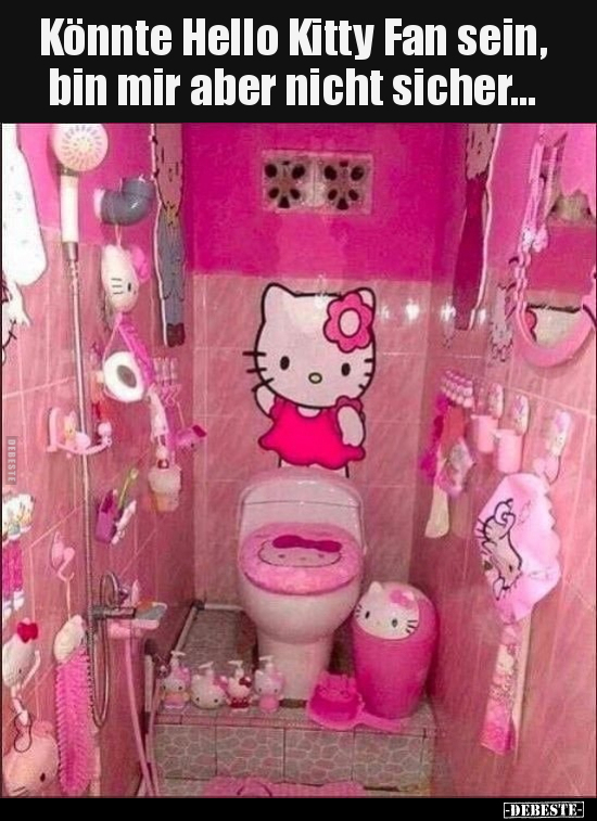 Könnte Hello Kitty Fan sein, bin mir aber nicht.. - Lustige Bilder | DEBESTE.de