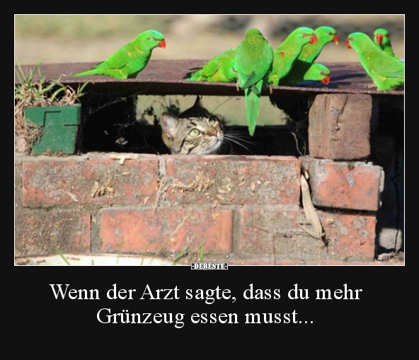 Wenn der Arzt sagte, dass du mehr Grünzeug essen musst..