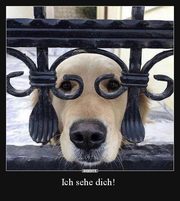 Ich sehe dich! - Lustige Bilder | DEBESTE.de