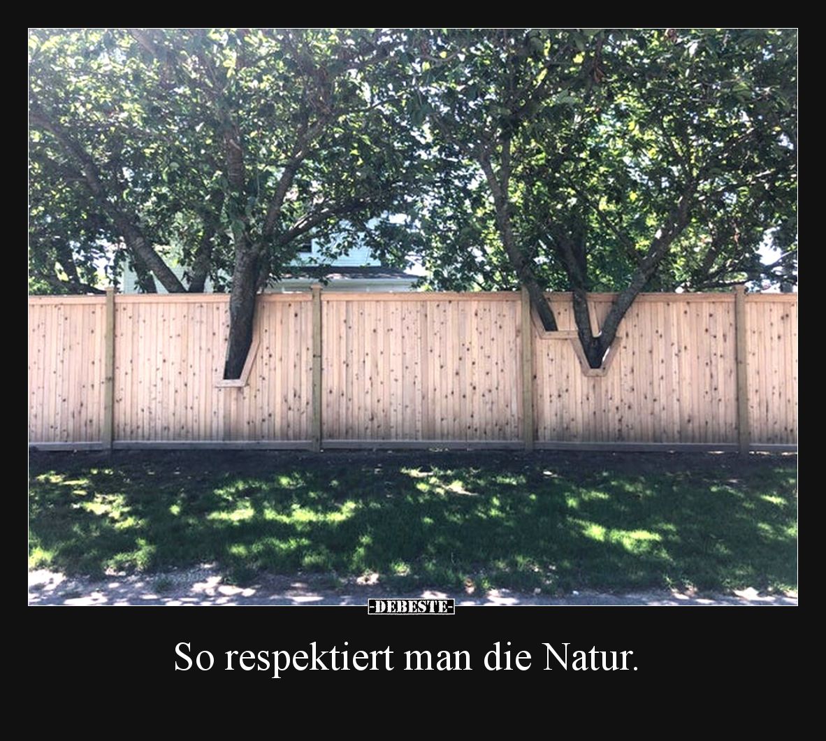 So respektiert man die Natur.