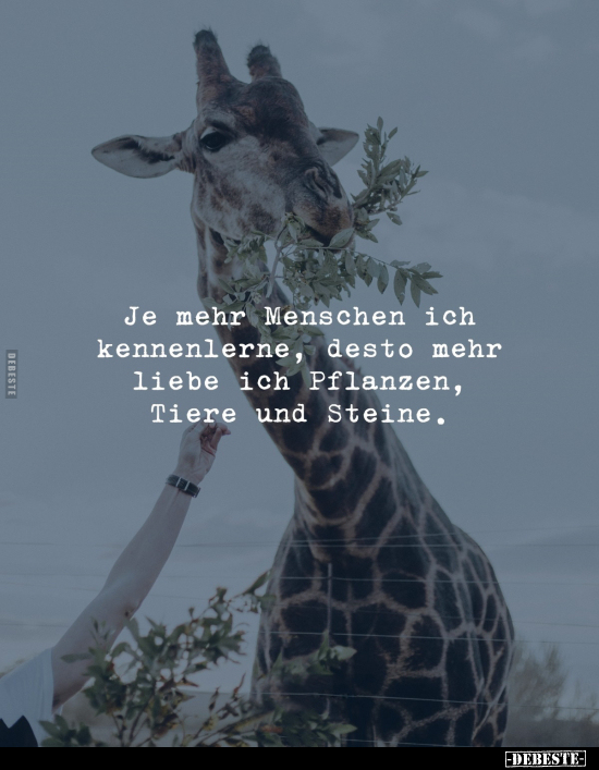 Menschen, Liebe, Pflanzen, Tiere