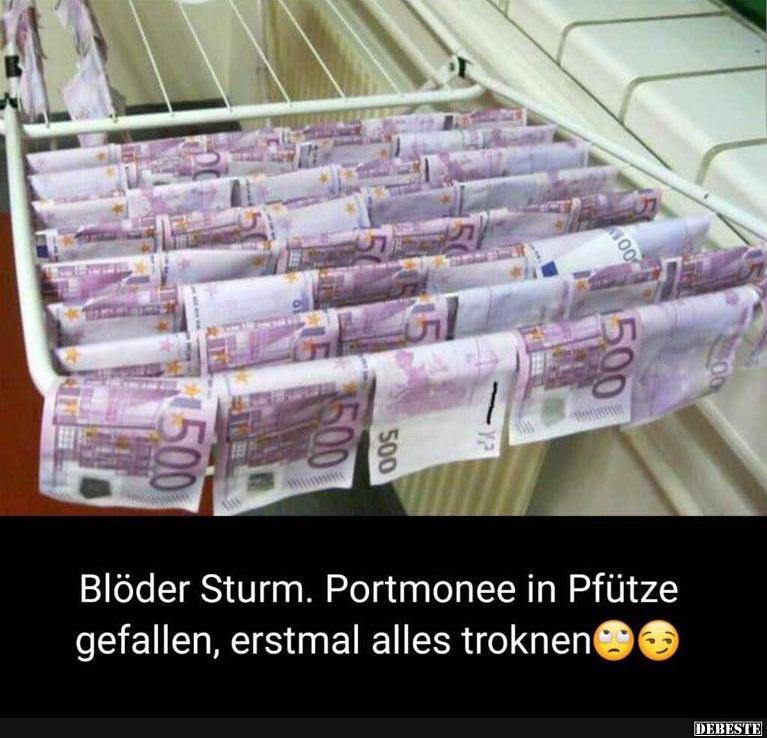 Blöder Sturm. Portmonee in Pfütze gefallen.. - Lustige Bilder | DEBESTE.de