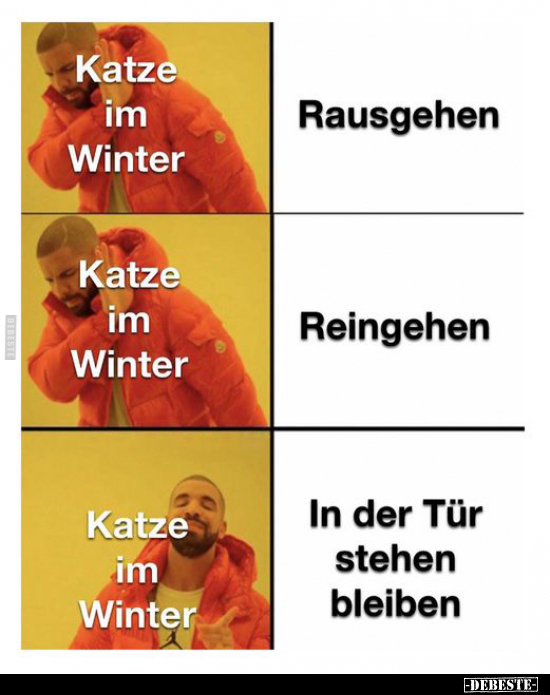 Katze im Winter: Rausgehen.. - Lustige Bilder | DEBESTE.de