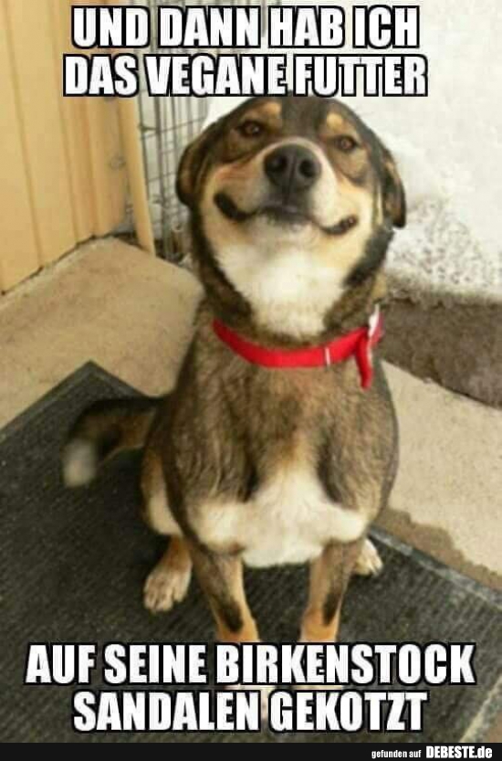 Und dann hab ich das vegane Futter..